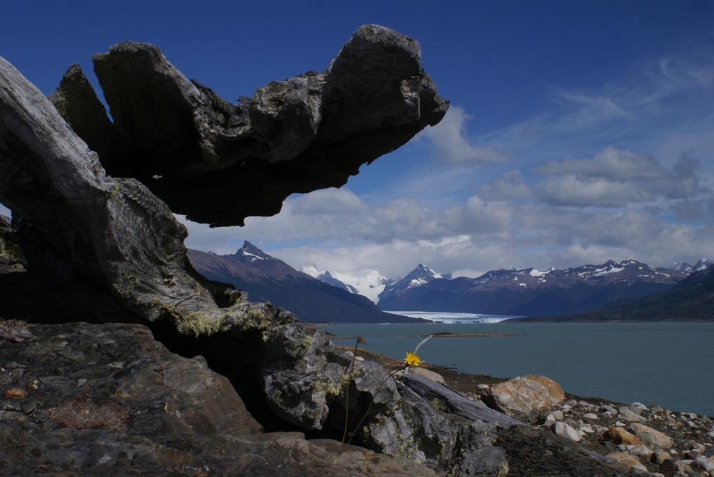 Adventure Domes Glamping Hotell Colonia Francisco Perito Moreno Eksteriør bilde