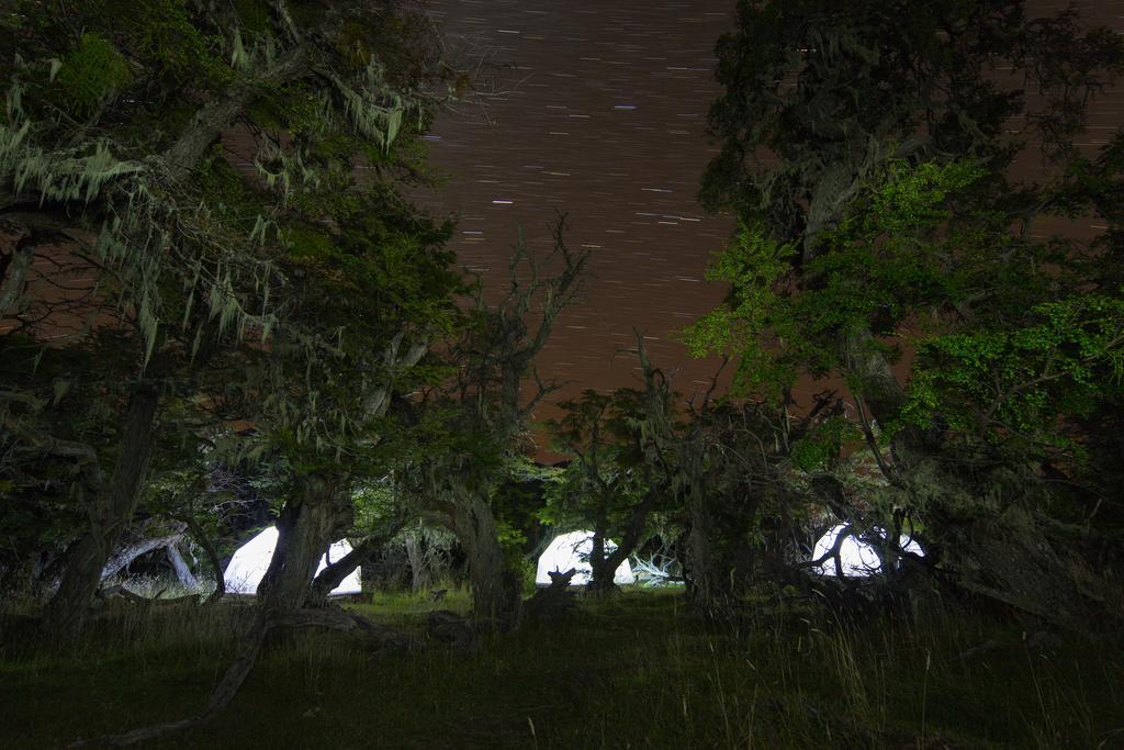 Adventure Domes Glamping Hotell Colonia Francisco Perito Moreno Rom bilde